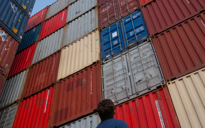 Certificación OEA ¿Vale la pena?